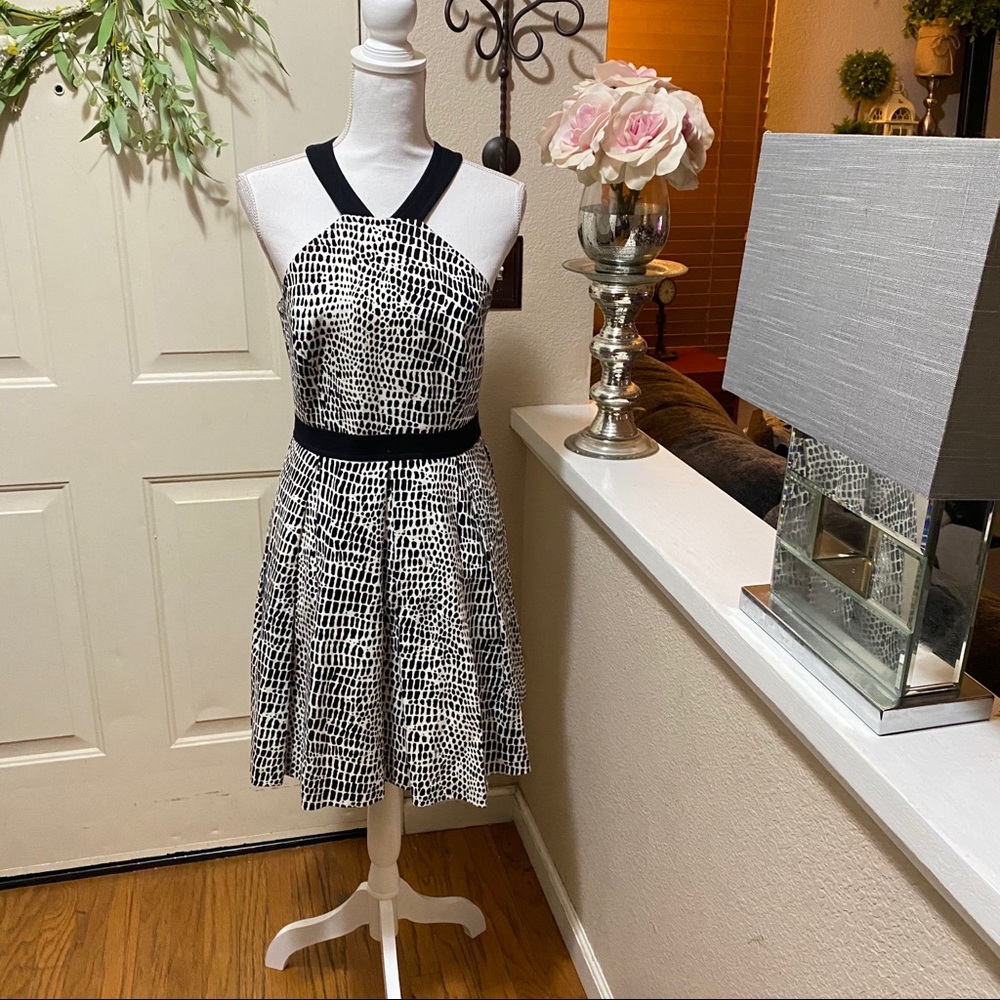 Zola' Print Cotton Fit & Flare Dress By TRINA TURK - Picture 8 of 16